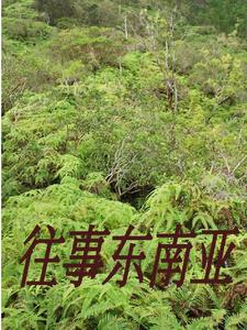 �����山��һȺ��