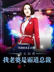宠女奶爸:我老婆是霸道总裁