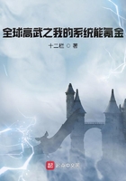 ȫ�����֮�ҵ�ϵͳ��봽�
