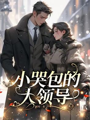 С�ް��Ĵ��쵼
