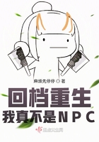 �ص����������治��NPC